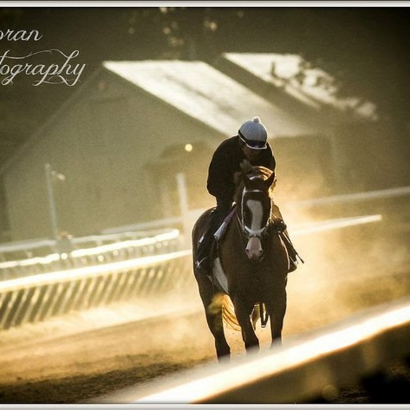 horserider0616